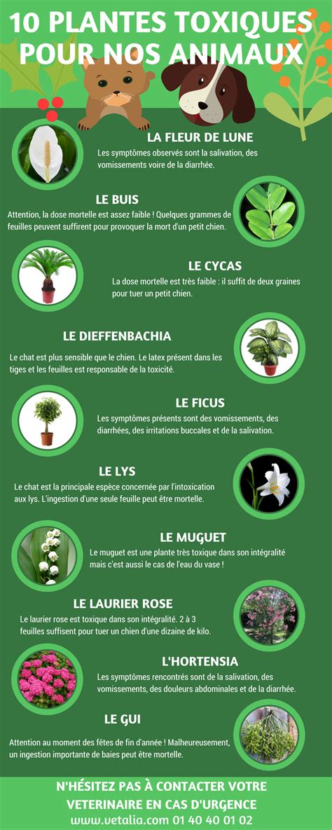 tableau des plantes toxiques pour animaux
