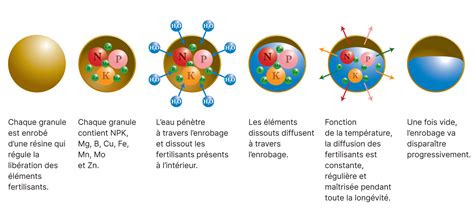 Schéma d'un cône d'engrais à libération lente