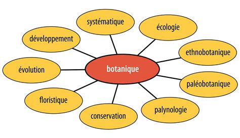 Schéma conceptuel illustrant l'intégration de l'architecture, de la botanique et de la technique dans un jardin de luxe