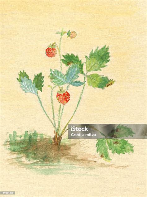 Illustration de fraises sauvages dans la préhistoire