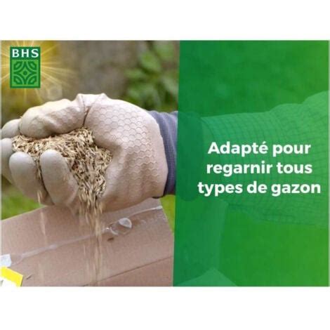 Graines de gazon de haute qualité avec certification