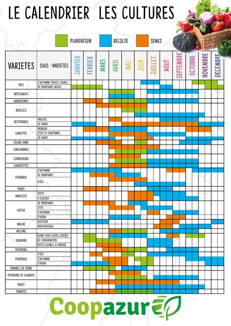 Calendrier de semis des variétés anciennes pour un potager autonome