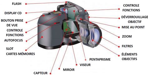 Schéma technique illustrant le fonctionnement du mode Bulb sur un reflex numérique