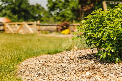Diagramme des bénéfices du paillage