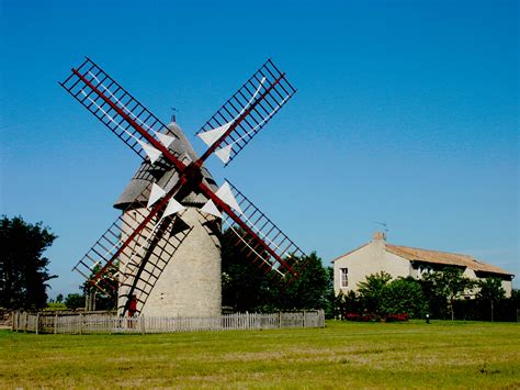 Vue d'un vignoble de Moulin-à-Vent avec le moulin en arrière-plan
