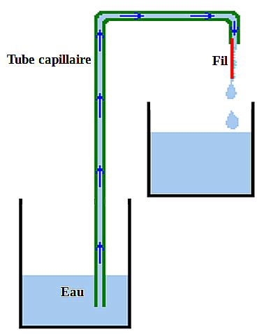 Schéma explicatif de la technique de capillarité avec une mèche de laine