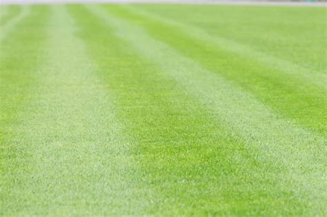Vue aérienne d'une pelouse verte bien entretenue