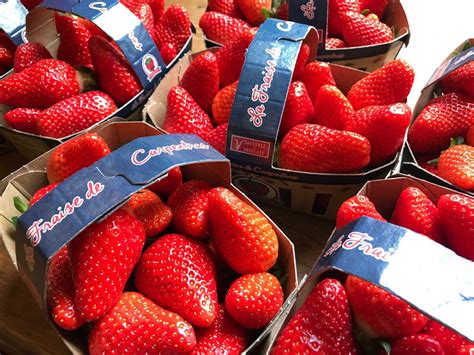 Détail de la fraise de la Grillo Princess MR 9 et de ses couteaux en acier trempé