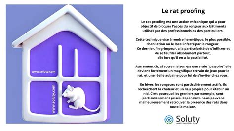 Schéma des techniques de rat proofing
