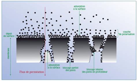 Exemple de colmatage avec grillage