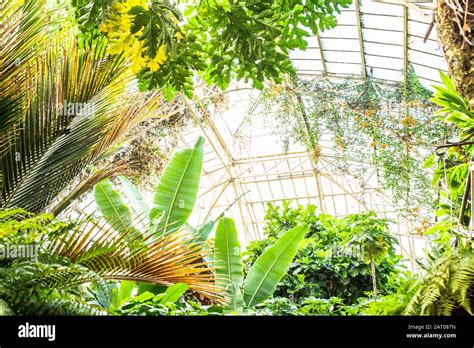 Intérieur de la serre tropicale du Jardin des Plantes de Rouen