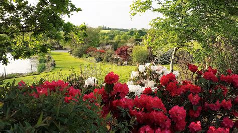 Vue aérienne du Domaine des Rhododendrons avec son parc fleuri.
