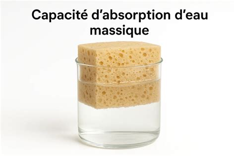 Schéma illustrant la capacité d'absorption d'eau des écorces de pin