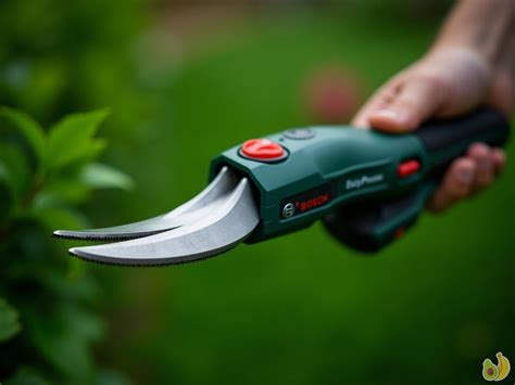 Sécateur électrique Bosch EasyPrune en action