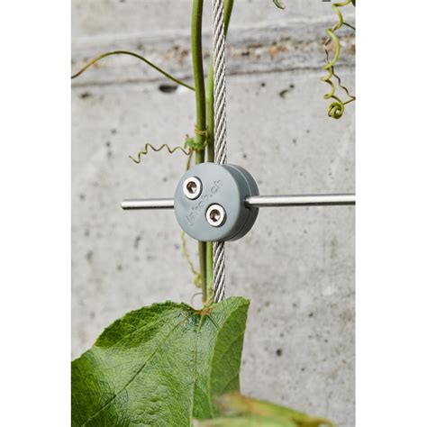 Exemple de disposition en croix de câbles d'acier pour plantes grimpantes