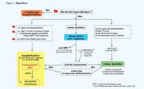 Schéma illustrant le processus de réhydratation de la sphaigne