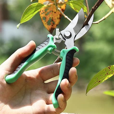 Pruning tools for garden