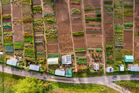 Vue aérienne d'un potager urbain en permaculture