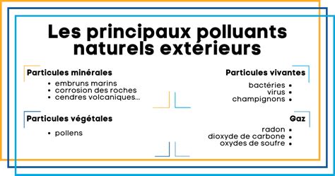 Schéma illustrant les principaux polluants intérieurs (COV, formaldéhyde) absorbés par les plantes vertes