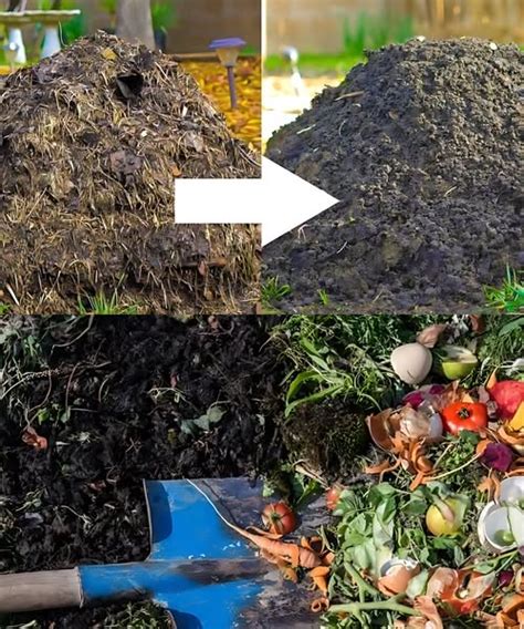 Compost fait à partir d'herbe coupée et de matières brunes