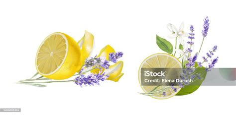 lavande et citronnier
