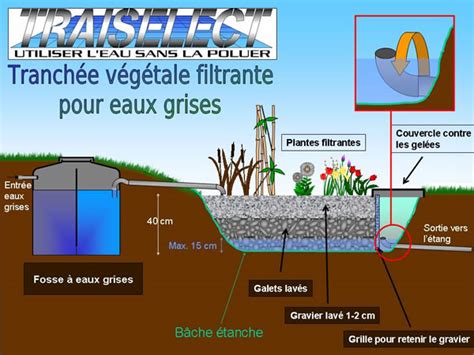 Schéma d'un système de filtration des eaux grises par les plantes