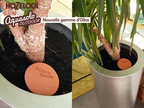 Différents adaptateurs Aquasolo avec leurs couleurs et tailles