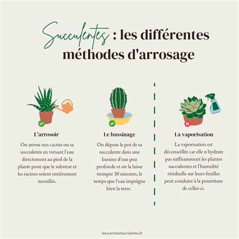 Comparaison des différentes méthodes d'arrosage DIY avec bouteilles