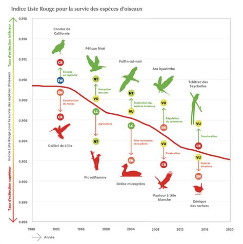 Graphique montrant le déclin de la biodiversité des variétés comestibles au fil du temps