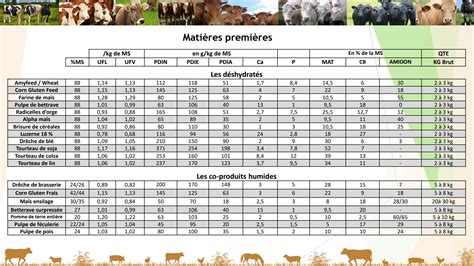 Images de volailles et bovins landais