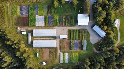 Photos d'une ferme maraîchère landaise
