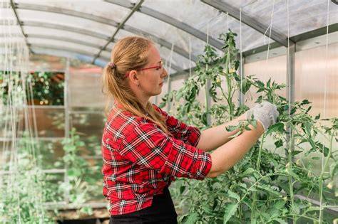 Étudiants travaillant dans une serre horticole