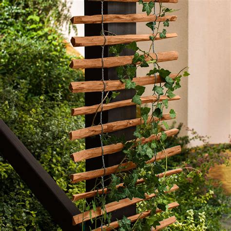 Exemple de treillage mural avec plante grimpante