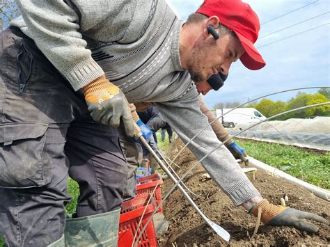 Maraîcher travaillant sa terre