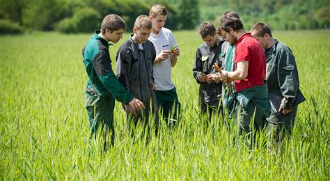 Étudiants en formation agricole