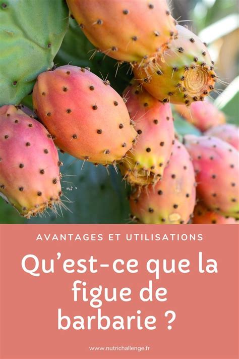 Infographie sur les utilisations culinaires de la figue