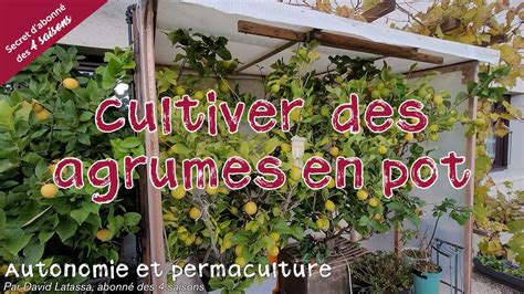Schéma d'une serre froide pour agrumes