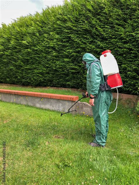 Personne utilisant un pulvérisateur de jardin sur des mauvaises herbes
