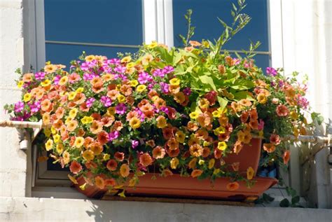 Schéma de fixation sécurisée d'une jardinière de fenêtre