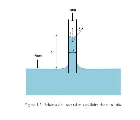 Illustration du phénomène de capillarité dans un tube fin