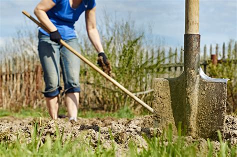 Photo montrant une technique de bâchage pour préparer le sol