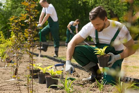 Ouvrier paysagiste plantant des fleurs dans un massif