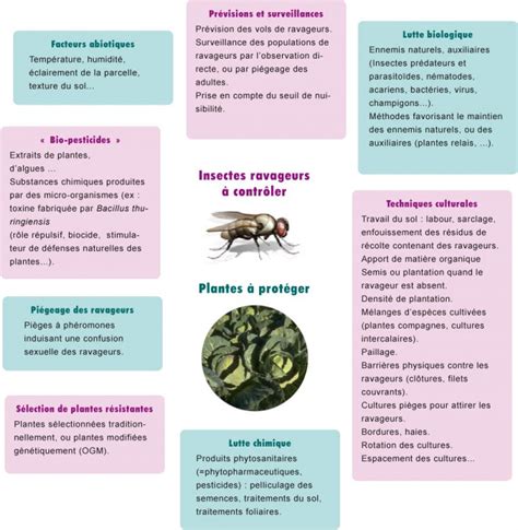 Schéma explicatif de la protection biologique intégrée (PBI) et des insectes auxiliaires