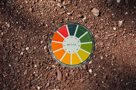 Schéma d'un sol acide idéal pour les rhododendrons