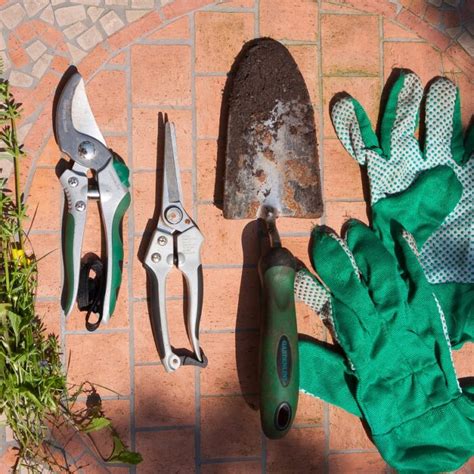 Outils de jardinage : sécateur, hormone de bouturage, pots