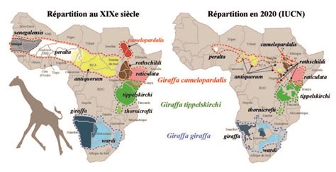 Carte de répartition historique et actuelle de la culture de Quinoa dans les Andes