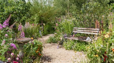 Un jardin naturel diversifié avec des fleurs sauvages et une pelouse entretenue sans produits chimiques