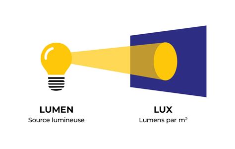 Schéma illustrant la différence entre les besoins lumineux d'un bonsaï d'intérieur et d'extérieur