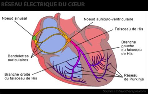 schéma explicatif montrant l'influence du cœur de baguette sur la puissance et la stabilité des sorts