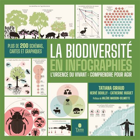 Infographie comparant le maraîchage conventionnel et le maraîchage en permaculture : rendement, biodiversité et énergie